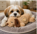 Pet Anxiety Comfort Toy